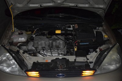 DSC_0009_01.jpg