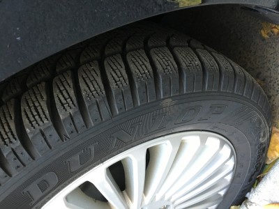 IMG_2502_test.jpg