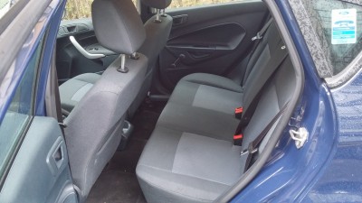 interior spate.jpg