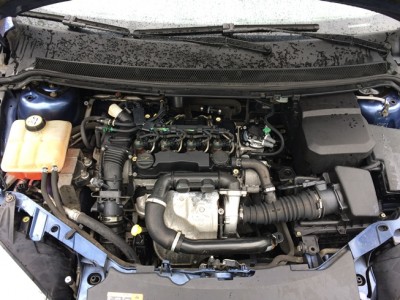 IMG_6892.JPG (183.98 KiB) Vizualizat de 1771 ori IMG_6892.JPG