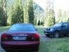 IMG_0010.JPG