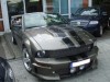 mustang.jpg