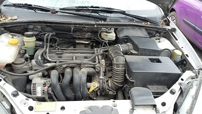 20161120_115541.jpg