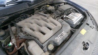 DSC_0082 (800x450).jpg