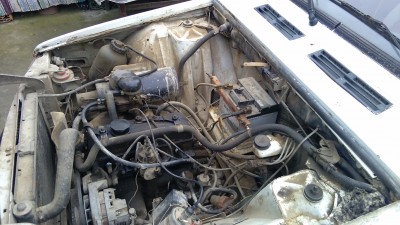 IMG_20170318_173834[1].jpg