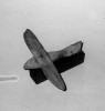 bird-2.jpg