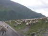 DSCN0086.JPG