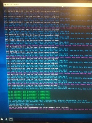 WhatsApp Image 2018-01-24 at 16.22.29.jpeg