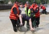 thumbnail_pentru_poza_3031104.jpg