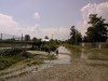 SP_A0120.jpg