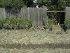 DSC00564.JPG