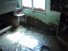 DSC00569.JPG