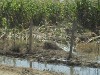 DSC00591.JPG