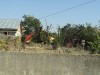 DSC00599.JPG