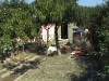 DSC00603.JPG