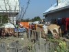 DSC00638.JPG