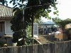 DSC00647.JPG