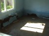DSC00653.JPG