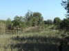 DSC00658.JPG