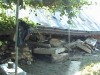 DSC00663.JPG