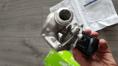 20181124_120902.jpg