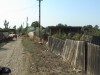 DSC00668.JPG