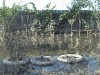 DSC00672.JPG