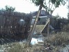 DSC00674.JPG