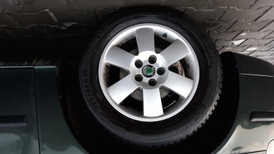 20181209_160320.jpg