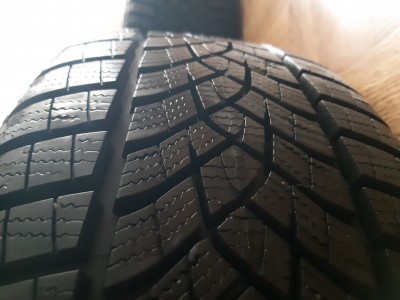 20190121_151245.jpg