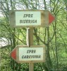 Picture1.jpg
