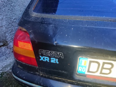 DSC_0253.JPG