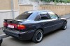 DSC_8598_800.jpg