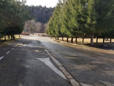 alee1.jpg (310.95 KiB) Vizualizat de 10339 ori alee1.jpg