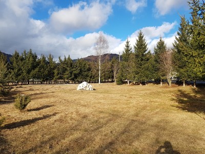 curte2.jpg (296.33 KiB) Vizualizat de 10955 ori curte2.jpg