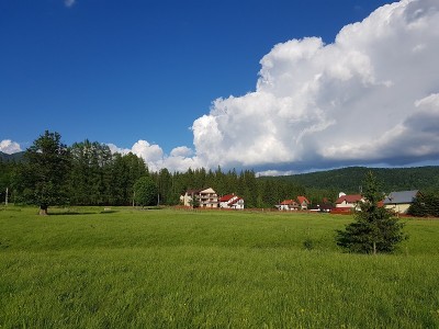 spate2.jpg (212.61 KiB) Vizualizat de 10337 ori spate2.jpg