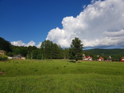 spate1.jpg (213.36 KiB) Vizualizat de 10337 ori spate1.jpg