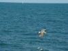 DSC06211.JPG