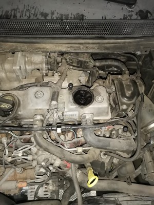 IMG-20210209-WA0002.jpg (267.37 KiB) Vizualizat de 2160 ori IMG-20210209-WA0002.jpg