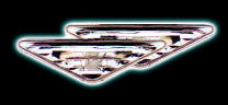 FO35L98.jpg
