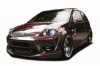ford_fiesta6_riot_front copy_small.JPG