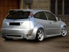 ford focus species wide r.jpg