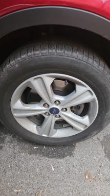 19765d86-c557-423a-9aee-99e2fe147436.jpeg