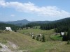 Poiana lui Horea 1m.jpg
