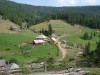 Poiana lui Horea 4m.jpg