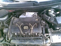 Foto006.jpg