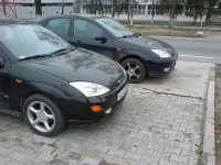 Picture 003.jpg