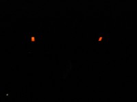 IMG_0257.JPG