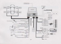 P31.jpg