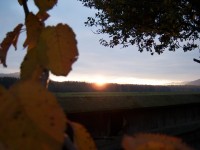 100_3309r.JPG